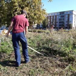 Urban green spaces